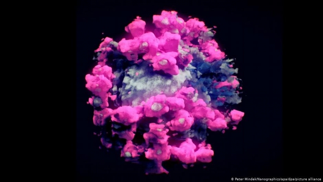 Lần đầu tiên nhóm nghiên cứu quốc tế chụp được ảnh 3D thực của virus SARS-CoV-2 - Ảnh 1.