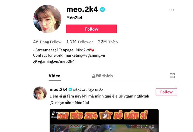 Mèo2k4, nữ streamer Liên Quân đang khiến cộng đồng tìm info là ai? - Ảnh 1.