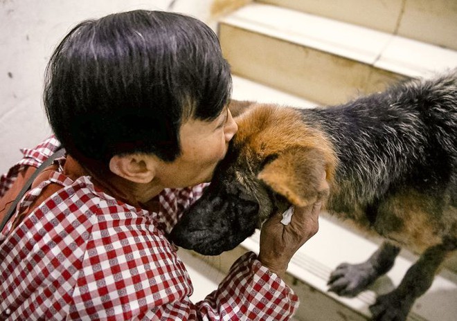 Chuyện về người phụ nữ chung sống với hơn 1000 con chó, 100 con mèo và 4 con ngựa: Đây là những gì xảy ra mỗi ngày trong ngôi nhà đó - Ảnh 3.