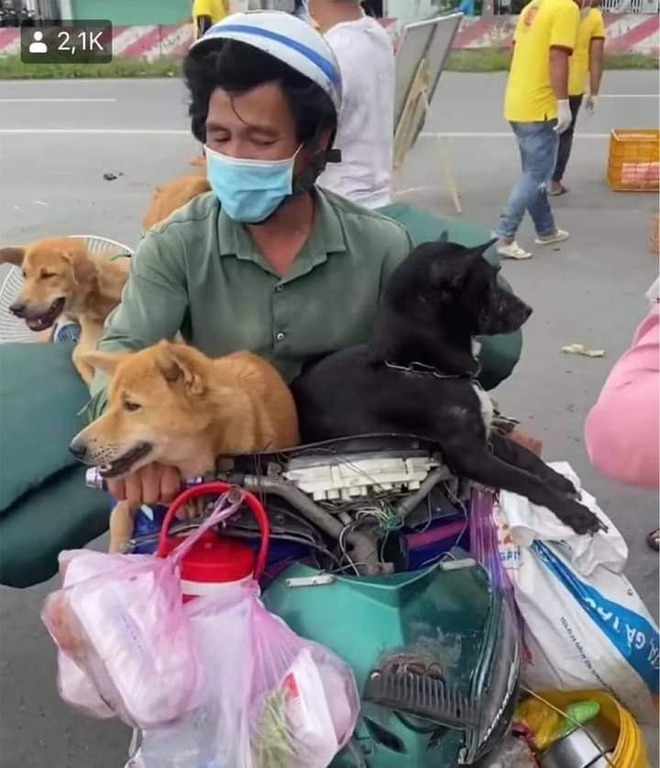 Hot TikToker Trương Quốc Anh lên tiếng vụ 15 chú chó bị tiêu huỷ, đề xuất giải pháp có thấu tình đạt lý? - Ảnh 2. Hot TikToker Trương Quốc Anh lên tiếng vụ 15 chú chó bị tiêu huỷ, đề xuất giải pháp có thấu tình đạt lý? - Ảnh 2.