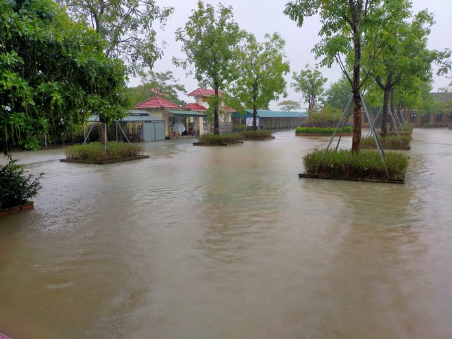 Hà Tĩnh: Mưa lớn kéo dài gây ngập cục bộ, nhiều địa phương lên kế hoạch di dời dân - Ảnh 3. Hà Tĩnh: Mưa lớn kéo dài gây ngập cục bộ, nhiều địa phương lên kế hoạch di dời dân - Ảnh 3.