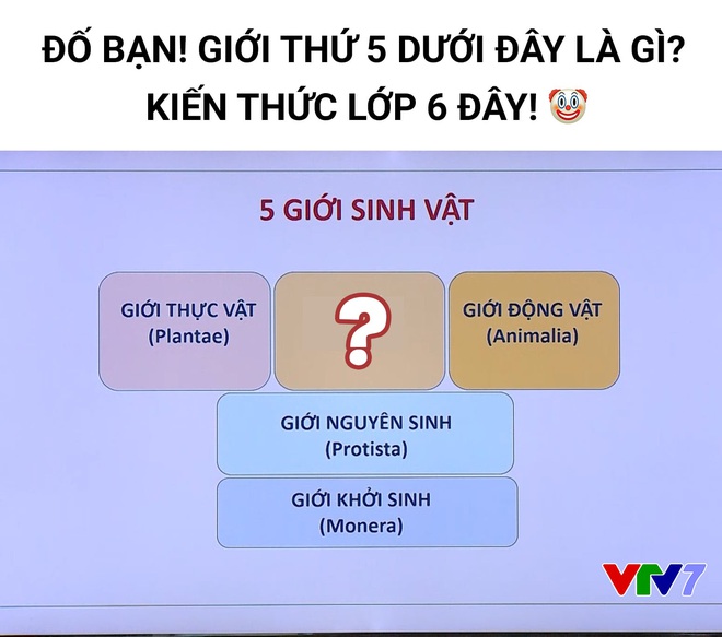 Chương trình trên sóng VTV7 ra câu đố dành cho học sinh lớp 6, người lớn nào cũng từng học qua song đành bất lực vì quá khó! - Ảnh 1. Chương trình trên sóng VTV7 ra câu đố dành cho học sinh lớp 6, người lớn nào cũng từng học qua song đành bất lực vì quá khó! - Ảnh 1.