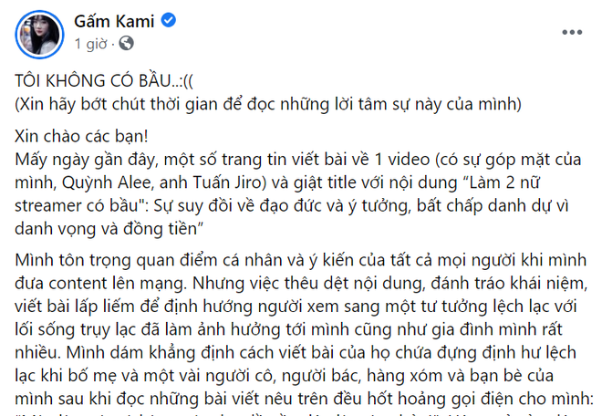 Hậu drama có bầu, 2 nữ streamer Quỳnh Alee và Gấm Kami chính thức lên tiếng, kịch bản khó tin! - Ảnh 3.