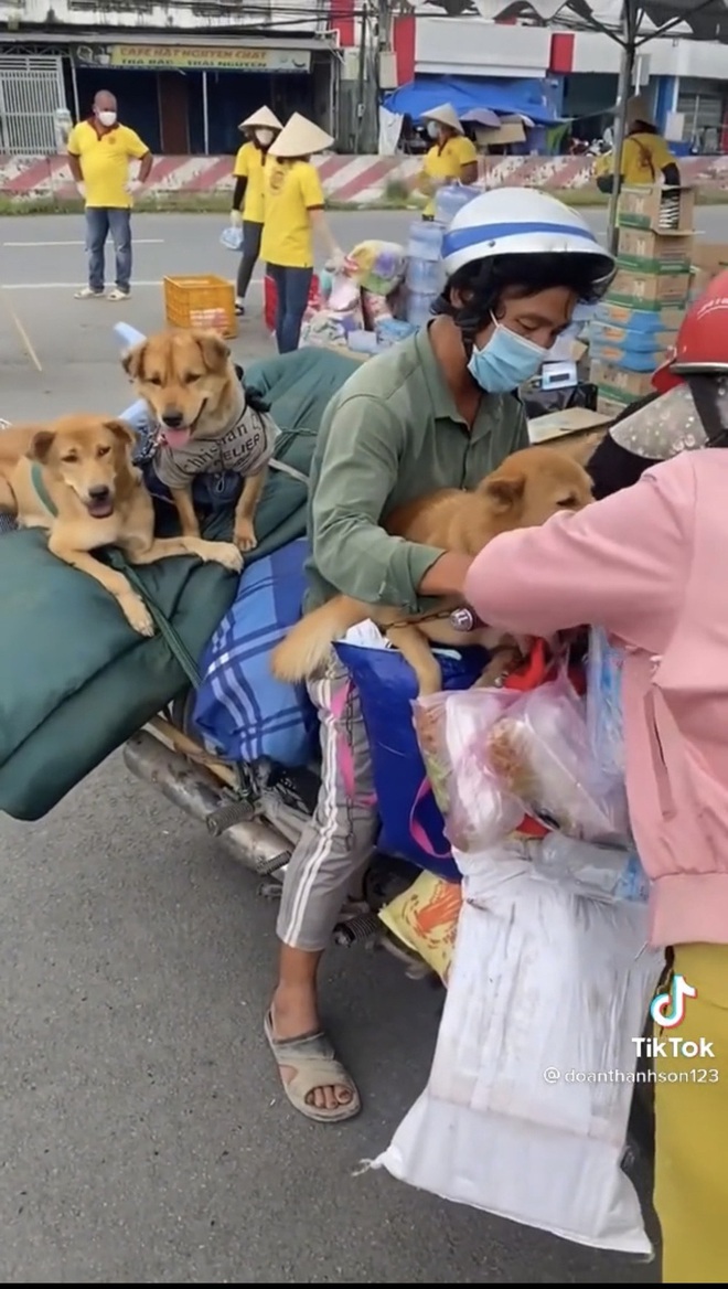 Dân mạng chỉ trích chủ nhân 15 con chó bị tiêu hủy ở Cà Mau kêu gọi ủng hộ, "đòi quyền lợi": Sự thật là gì? - Ảnh 3.
