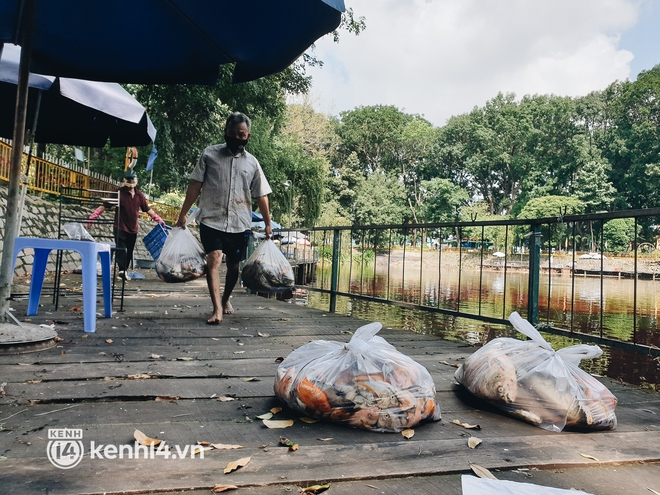 Cận cảnh 2 tấn cá chết bốc mùi trong công viên Hoàng Văn Thụ ở TP.HCM - Ảnh 2.