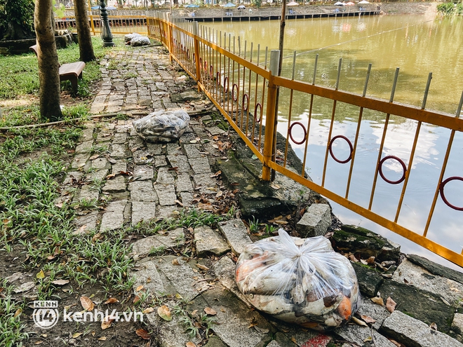 Cận cảnh 2 tấn cá chết bốc mùi trong công viên Hoàng Văn Thụ ở TP.HCM - Ảnh 3.