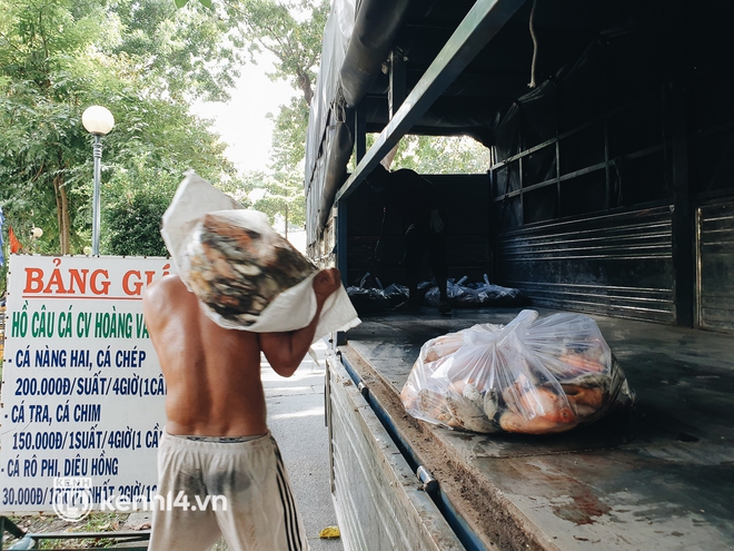 Cận cảnh 2 tấn cá chết bốc mùi trong công viên Hoàng Văn Thụ ở TP.HCM - Ảnh 11.
