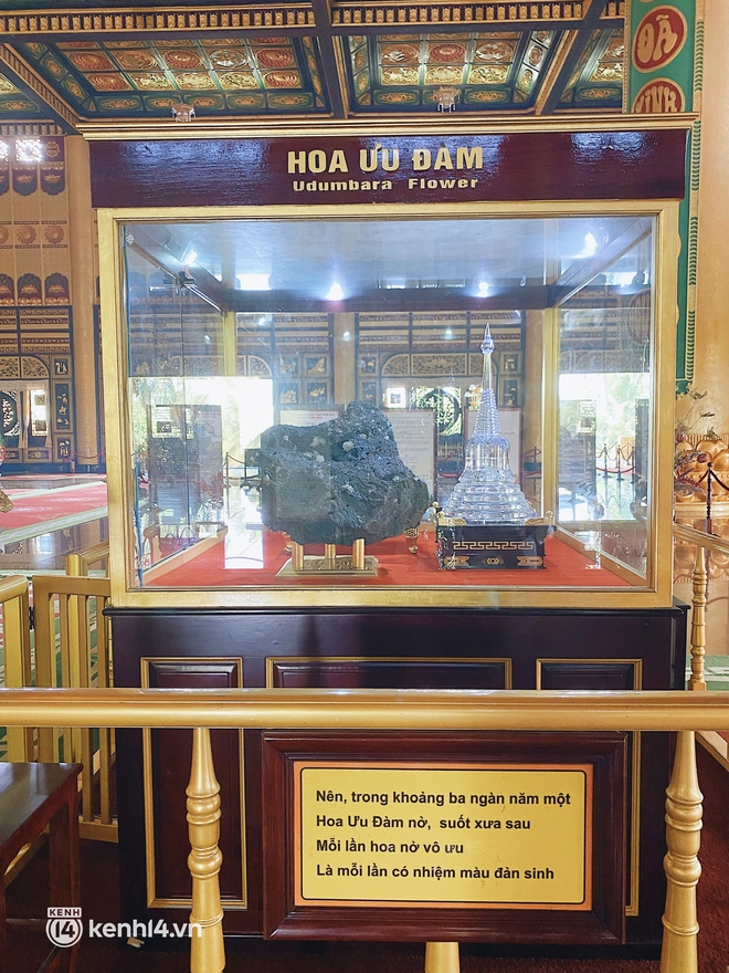 Giữa KDL Đại Nam của đại gia Huỳnh Uy Dũng bỗng nở 1 loài hoa quý, 3000 năm mới có 1 lần: Thực chất là gì? - Ảnh 4. Giữa KDL Đại Nam của đại gia Huỳnh Uy Dũng bỗng nở 1 loài hoa quý, 3000 năm mới có 1 lần: Thực chất là gì? - Ảnh 4.