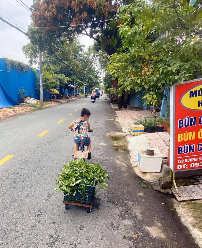 Kh&ocirc;ng c&oacute; điện thoại học online, cậu b&eacute; đẩy xe b&aacute;n rau phụ mẹ: Đ&ocirc;i ch&acirc;n khiến tất cả đau l&ograve;ng - Ảnh 1.