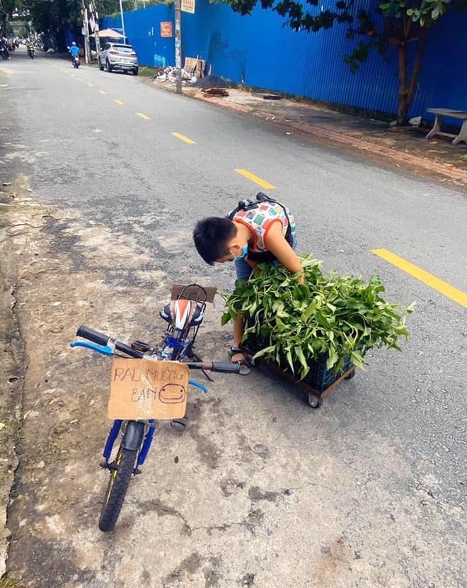 Kh&ocirc;ng c&oacute; điện thoại học online, cậu b&eacute; đẩy xe b&aacute;n rau phụ mẹ: Đ&ocirc;i ch&acirc;n khiến tất cả đau l&ograve;ng - Ảnh 2.
