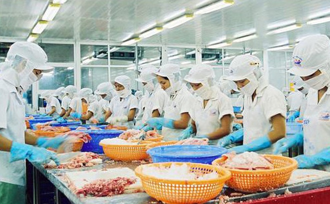 368 ca nhiễm Covid-19 li&ecirc;n quan đến c&ocirc;ng ty trong 4 ng&agrave;y, Gi&aacute;m đốc: Đang điều tra nguồn l&acirc;y - Ảnh 1.