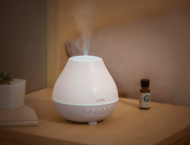 Thu về l&agrave; nh&agrave; cửa nồng nặc m&ugrave;i hoa sữa, l&agrave;m sao để hạn chế? - Ảnh 4.