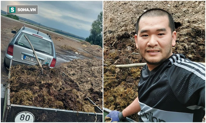 Chủ vườn rau Việt qu&yacute; hơn v&agrave;ng ở Czech: Ng&agrave;y l&agrave; doanh nh&acirc;n, tối nhặt ph&acirc;n b&ograve; - Ảnh 3.