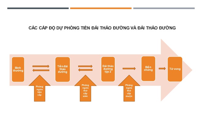 Gần 3,8 triệu người Việt mắc bệnh đái tháo đường, để phòng bệnh, đừng chủ quan với tảng băng chìm tiền tiểu đường - Ảnh 3.