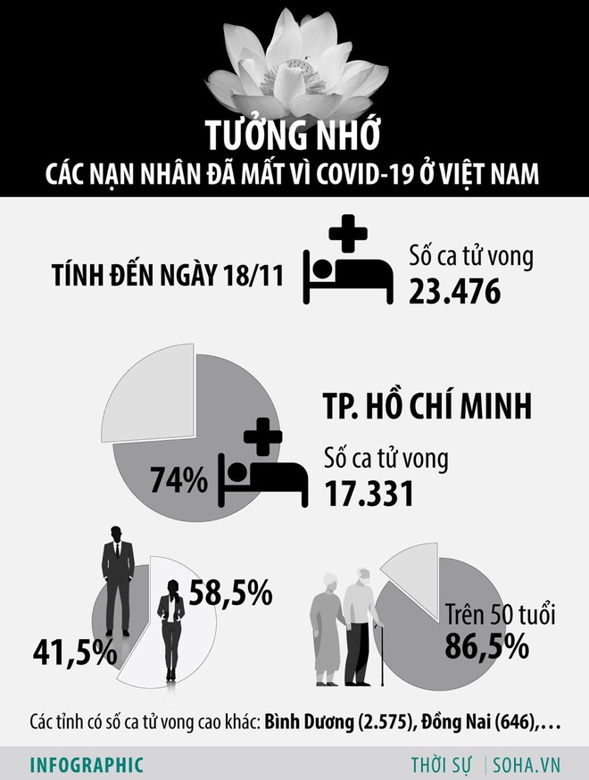 Những người từ cõi chết Covid-19 về: Tôi vẫn tự thắp hương cho bệnh nhân đã mất của mình - Ảnh 13.