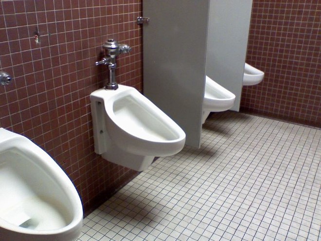 8 sự thật thú vị về nhà vệ sinh, đọc xong không còn thấy đây là nơi tầm thường nữa - Ảnh 1.