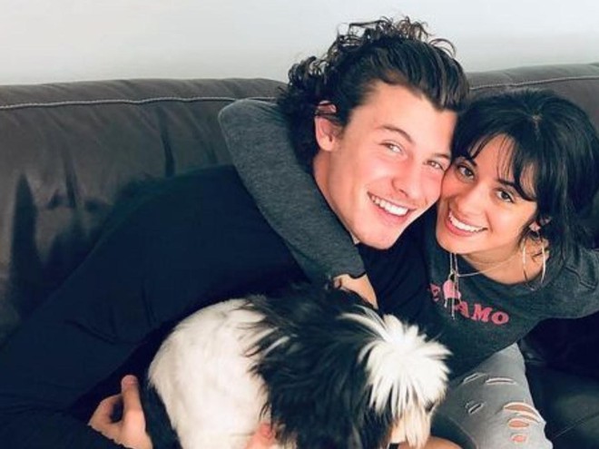 Hé lộ lí do Shawn Mendes và Camila Cabello chia tay sau 2 năm, tình tiết thế nào mà ai cũng ngán ngẩm? - Ảnh 3.