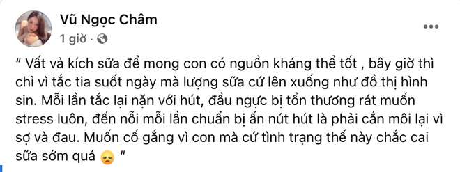 Sau biệt thự hào môn, mẹ bỉm Đàm Thu Trang từng muốn khóc nhưng chịu đựng để làm điều này cho con? - Ảnh 2.