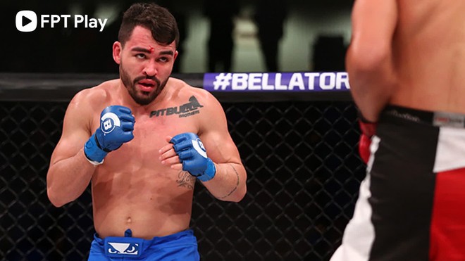 Bellator MMA 270: Chiến trường giành ngai của anh cả nhà Pitbull  - Ảnh 1.