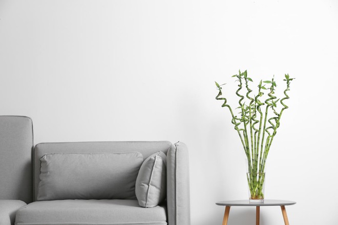 Nhập m&ocirc;n 8 mẹo phong thủy nh&agrave; cửa cho người mới bắt đầu, bỏ qua tiền t&agrave;i, sức khoẻ tan hoang r&aacute;ng chịu - Ảnh 6.