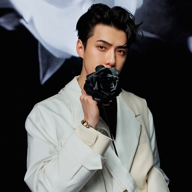 Fan đẩy thuyền rần rần Jisoo (BLACKPINK) v&agrave; Sehun (EXO) c&ugrave;ng loạt ảnh chung, c&ograve;n tin rằng c&oacute; khả năng hợp t&aacute;c? - Ảnh 1.