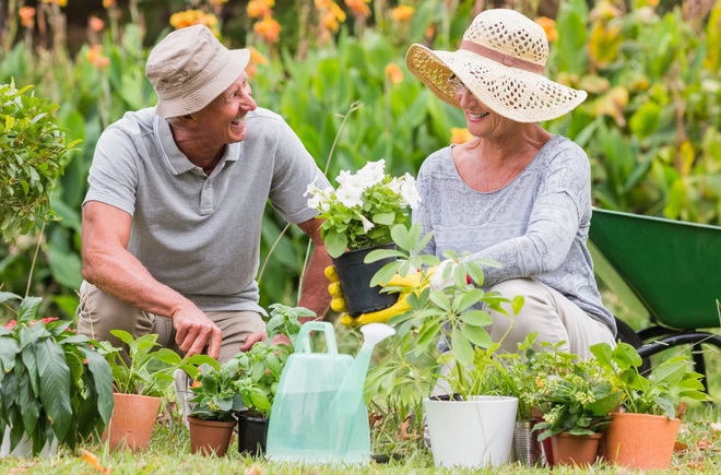 Bí quyết sống thọ ở nơi có nhiều người trên 100 tuổi nhất: Đơn giản mà hiệu quả không ngờ - Ảnh 1.