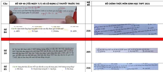 Bộ GD&ĐT lên tiếng về bất thường liên quan đề thi Sinh tốt nghiệp THPT 2021 - Ảnh 1.