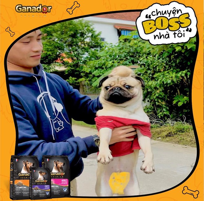 U l&agrave; trời, tan chảy với loạt ảnh cưng xỉu của c&aacute;c &ldquo;boss nh&agrave; t&ocirc;i&rdquo; - Ảnh 5.