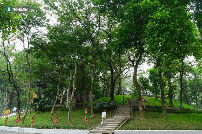 B&aacute;u vật ngh&igrave;n tỷ m&agrave; người Trung Quốc săn l&ugrave;ng được H&agrave; Nội bảo vệ chặt chưa từng c&oacute; - Ảnh 1.