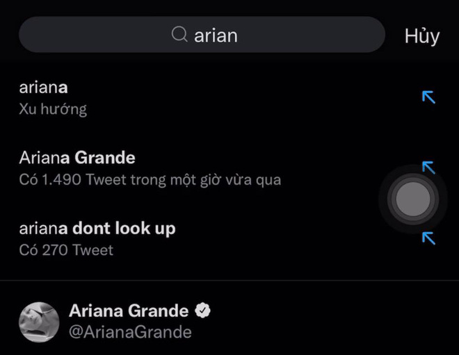 Tài khoản Twitter với hơn 85 triệu follower của Ariana Grande đột nhiên bay màu, chuyện gì đã xảy ra? - Ảnh 2.