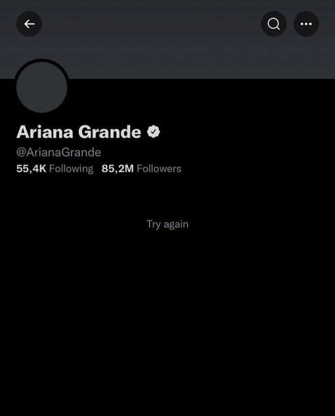 Tài khoản Twitter với hơn 85 triệu follower của Ariana Grande đột nhiên bay màu, chuyện gì đã xảy ra? - Ảnh 3.