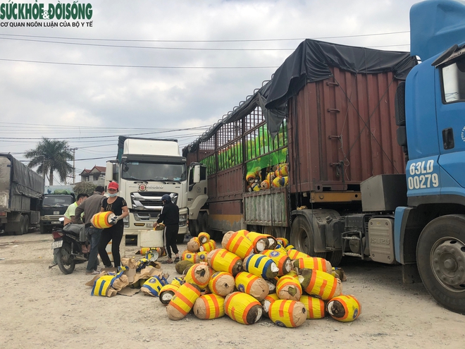 Trăm nghìn tấn trái cây ùn ứ cửa khẩu, mít Thái quay đầu la liệt chờ giải cứu - Ảnh 1.