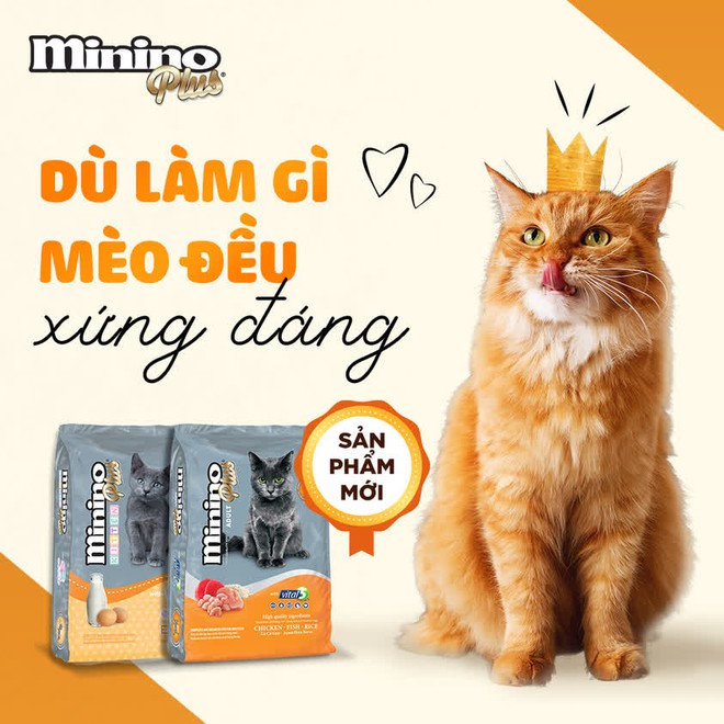 Tự tin là “sen” đảm, bạn không thể không biết tới 2 thương hiệu thức ăn “quốc dân” dành cho thú cưng này! - Ảnh 3.