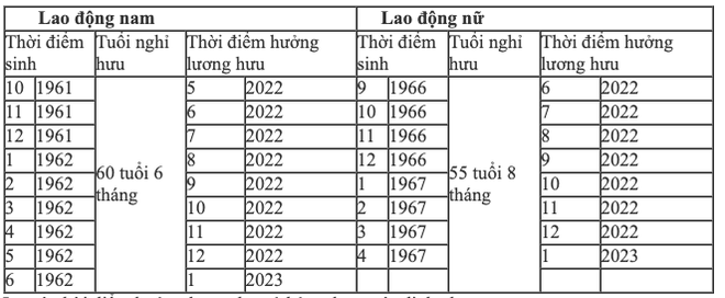 Tuổi nghỉ hưu năm 2022 của người lao động trong điều kiện lao động bình thường - Ảnh 1.