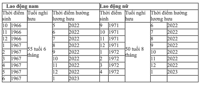 Tuổi nghỉ hưu năm 2022 của người lao động trong điều kiện lao động bình thường - Ảnh 3.