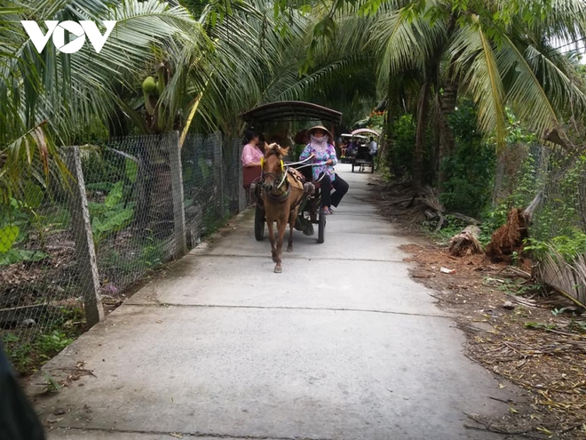 Du lịch Tết cổ truyền đ&igrave;u hiu, doanh nghiệp v&agrave; hộ kinh doanh thất thu - Ảnh 2.