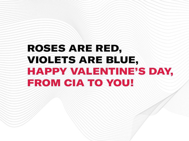 CIA bị chế giễu vì bất ngờ làm thơ lãng mạn ngày Valentine - Ảnh 1.