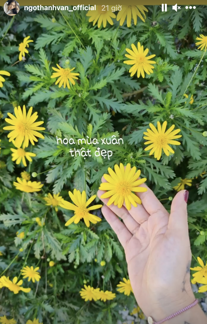 Ng&ocirc; Thanh V&acirc;n dẫn người y&ecirc;u 6 m&uacute;i l&ecirc;n Đ&agrave; Lạt chơi cũng kh&ocirc;ng qu&ecirc;n ăn đủ m&oacute;n tr&ecirc;n đời, netizen b&igrave;nh luận: Qu&aacute; l&agrave; sến! - Ảnh 3.