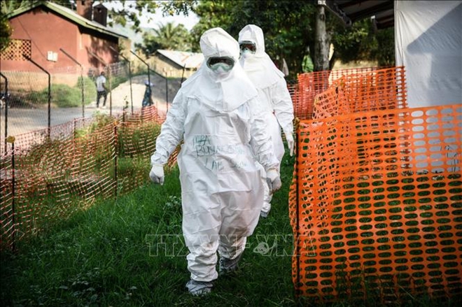 WHO cảnh báo 6 nước châu Phi về dịch Ebola - Ảnh 1.