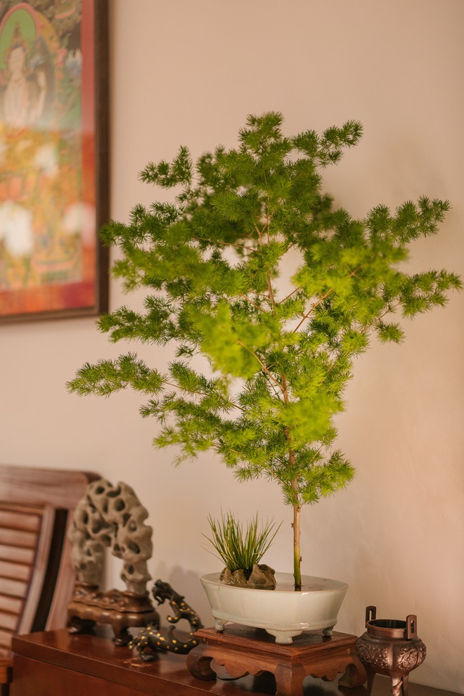 Ngôi nhà được cải tạo theo phong cách Viên lâm Á Đông: Ít đồ đạc, ít trang trí và ít màu sắc, sáng thoáng đặt làm đầu - Ảnh 19.