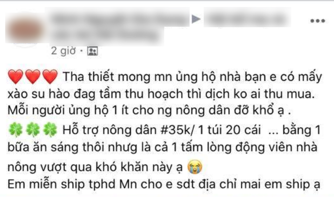 Ấm lòng cảnh dân tình rần rần giải cứu nông sản giúp bà con Hải Dương: nhìn giá bán mà ai cũng thương người nông dân - Ảnh 1.