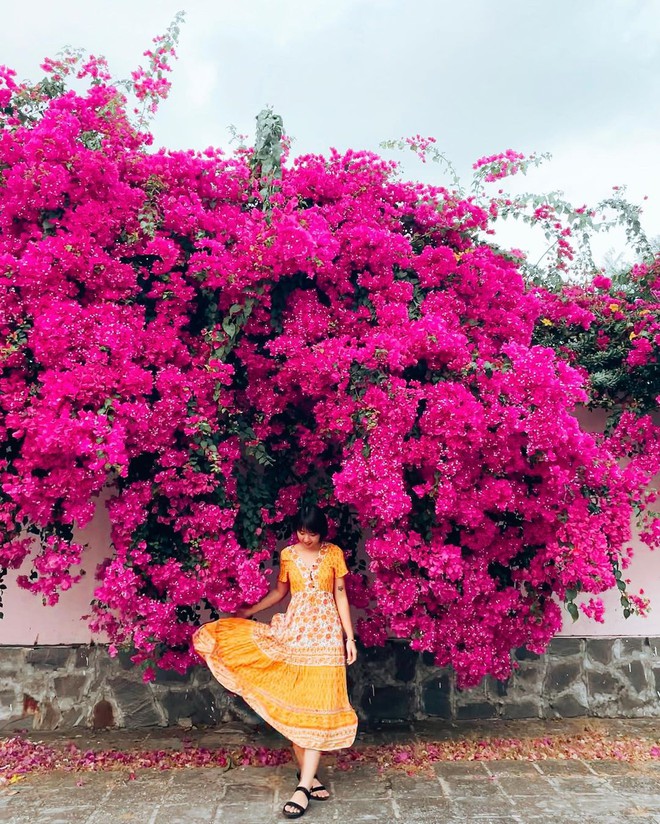 Paper flower truss "extreme" is causing a storm in Vung Tau because its blooming is so beautiful, people are racing to ask for addresses to check-in - Photo 15. Paper flower truss "extreme" is causing a storm in Vung Tau because its blooming is so beautiful, people are racing to ask for addresses to check-in - Photo 15.