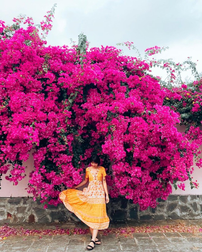 Paper flower truss "extreme" is causing a storm in Vung Tau because its blooming is so beautiful, people are racing to ask for addresses to check-in - Photo 15.