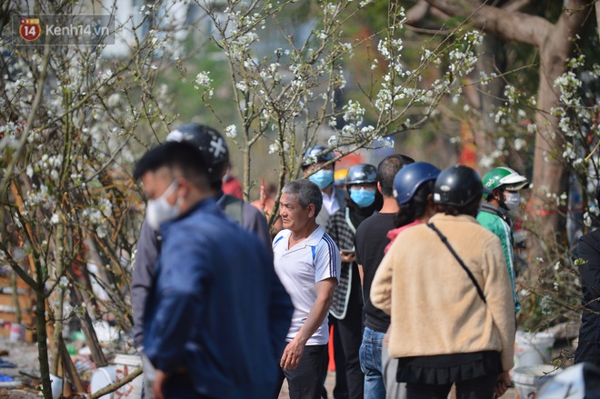 Ảnh: Hàng trăm người dân Hà Nội đổ xô đi mua hoa lê về chơi Rằm tháng Giêng - Ảnh 7.