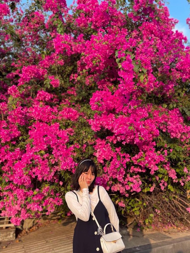 Paper flower truss "extreme" is causing a storm in Vung Tau because its blooming is so beautiful, people race to ask for addresses to check-in - Photo 10.