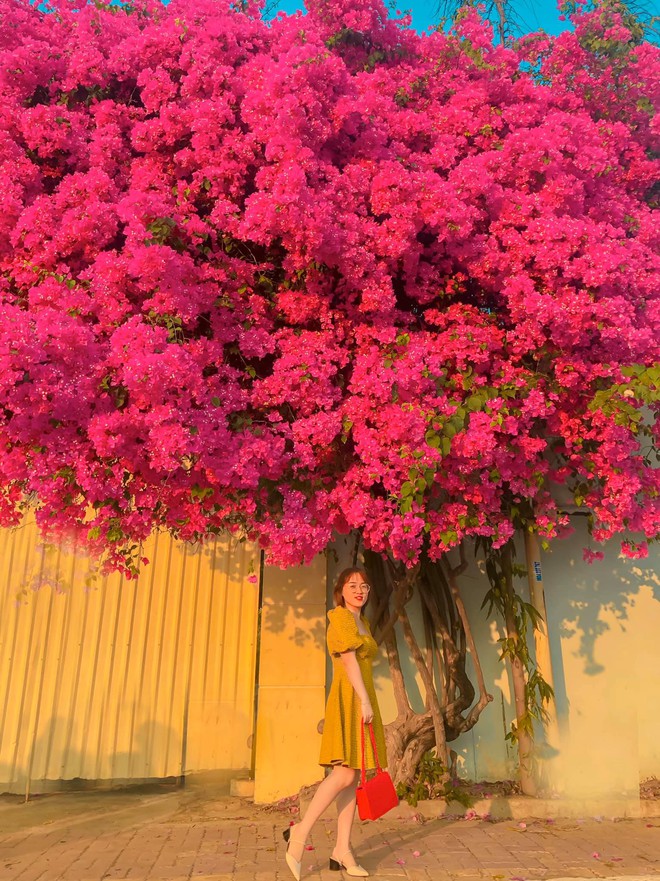 Paper flower truss "extreme" is causing a storm in Vung Tau because its blooming is so beautiful, people race to ask for addresses to check-in - Photo 8.