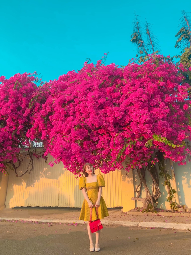 Paper flower truss "extreme" is causing a storm in Vung Tau because its blooming is so beautiful, people race to ask for addresses to check-in - Photo 8.