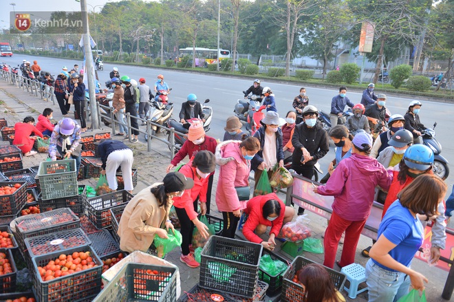 Chuyện người Hà Nội giải cứu hàng chục tấn nông sản: "Hàng bán được, bà con Hải Dương mừng lắm" - Ảnh 4.