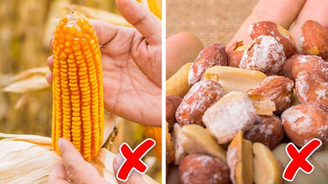 4 món nên vứt ngay nếu không ăn hết chứ đừng tiếc rẻ mà cất tủ lạnh, cố ăn chỉ làm tăng nguy cơ mắc ung thư - Ảnh 3. 4 món nên vứt ngay nếu không ăn hết chứ đừng tiếc rẻ mà cất tủ lạnh, cố ăn chỉ làm tăng nguy cơ mắc ung thư - Ảnh 3.