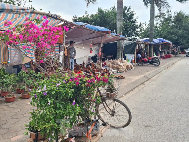 Lần đầu ti&ecirc;n đền Trần vắng nhất trong hơn 30 năm qua, ph&aacute;t ấn theo c&aacute;ch đặc biệt - Ảnh 9.